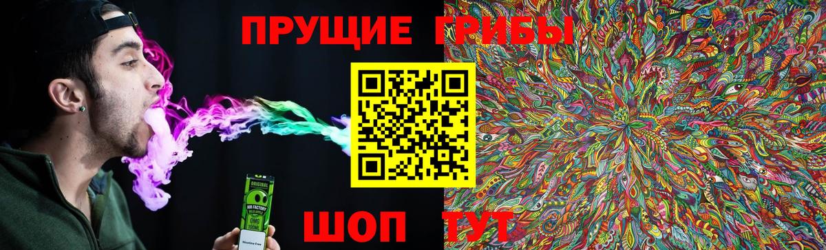 хочу наркоту  Вход с VPN  Красноармейск  Галлюциногенные грибы Cubensis 
